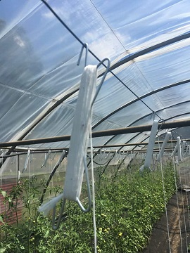 番茄生長攀索組  |自動噴滴灌系統|農業資材