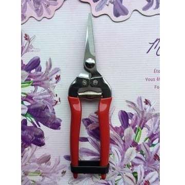 不鏽鋼直花剪 (齒刀/18.5cm/刀長度4.7cm)產品圖