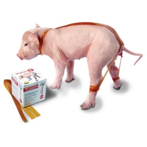 小豬束腳矯正帶  |豬/Swine|通用器材