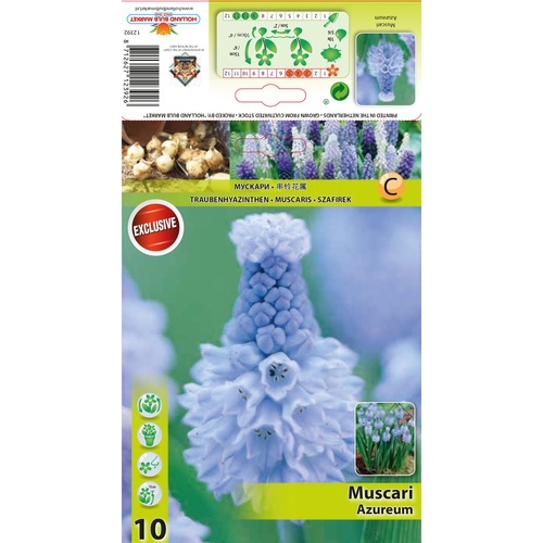 HBM-A31 蔚藍 Azureum(20顆)產品圖
