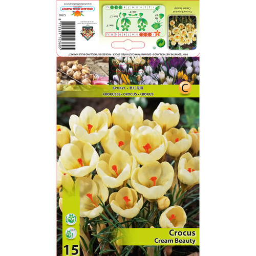 HBM-A18 奶油 Cream Beauty(10顆)產品圖