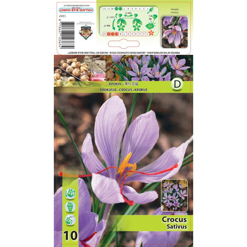 HBM-A16 秋花 Sativus (10顆)產品圖