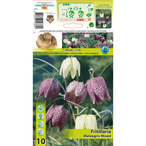 HBM-A28 火雞Meleagris (20顆)產品圖