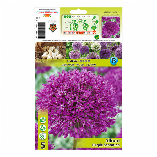 HBM-A06 震撼 Purple Sensation (5顆/包)產品圖