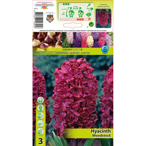HBM-A46 伍德斯 Woodstock (3顆)產品圖