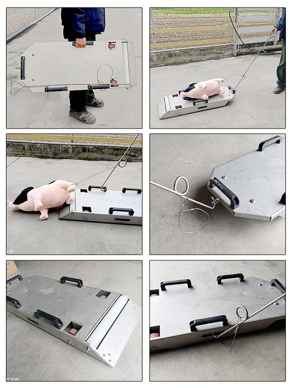 平面拉棄豬車