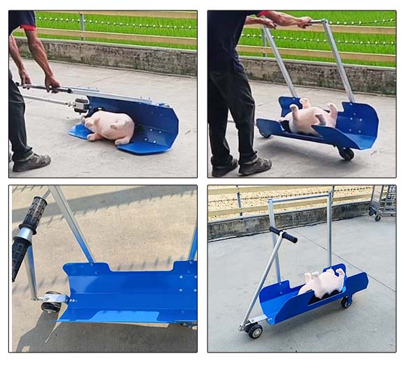 U型拉棄豬車