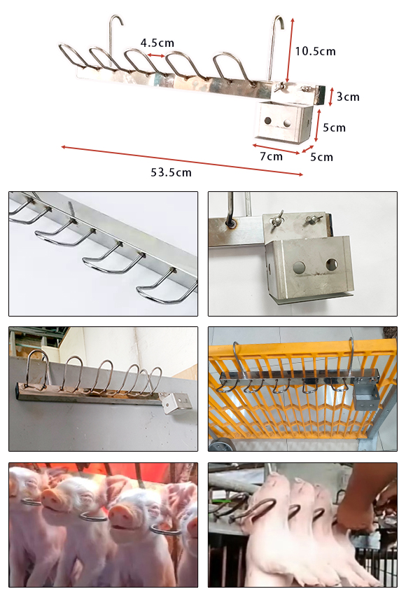 不鏽鋼仔豬固定架